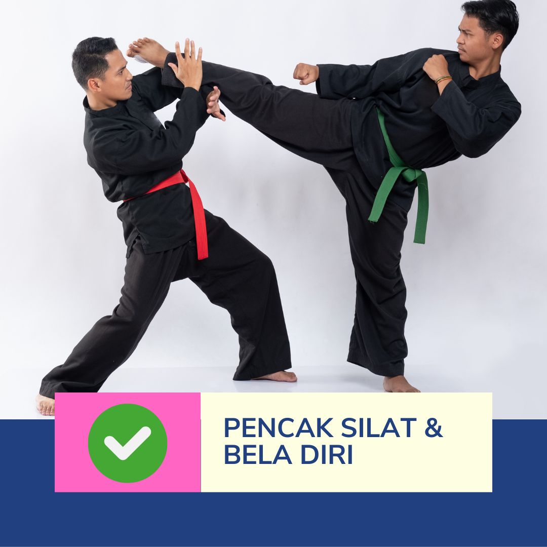 Ekstrakurikuler Pencak Silat - Pagar Nusa